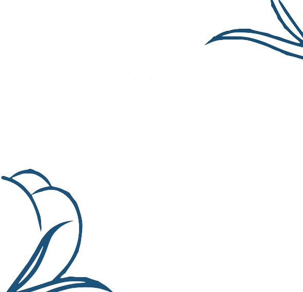 fundo-areas