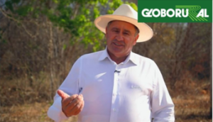 Tecnologia e sustentabilidade: algodão conquista mais espaço no mercado internacional