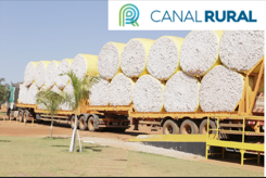 Brasil exporta 100,309 mil/t em outubro