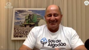 Estimativa dos primeiros resultados do relatório da safra de algodão