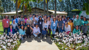 Sou de Algodão promove dia exclusivo para marcas na Cotton Trip