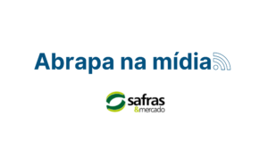 Brasil deve voltar a bater marca de 3 milhões de toneladas de algodão – Câmara Setorial