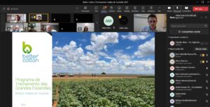 Plataforma Better Cotton é tema de treinamento