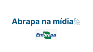 Pesquisas da Embrapa com algodão tem dois focos prioritários: fibras de alta qualidade e baixo impacto ambiental