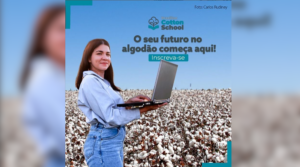 Termina amanhã (30/11) o prazo para inscrições para a Brazilian Cotton School