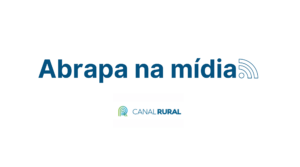 Abrapa: volatilidade volta com força no mercado de algodão