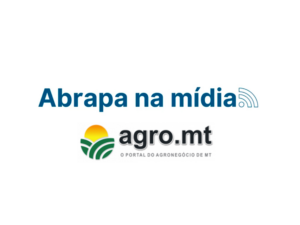 Presidente da Abrapa enfatiza eficiência e sustentabilidade como chaves para o sucesso do algodão brasileiro – Cotton Trip – MAIS SOJA
