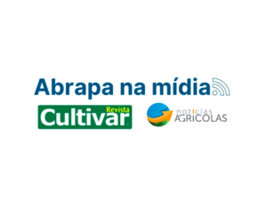Algodão deve continuar a crescer, segundo estimativa da Agroconsult