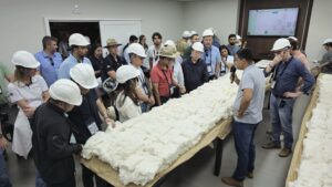 Profissionalismo e sustentabilidade do algodão em MT chamam atenção na Missão Compradores