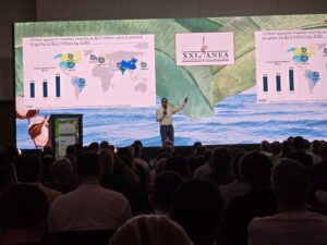 Aumento da produção de algodão é tema de seminário durante evento anual da Anea