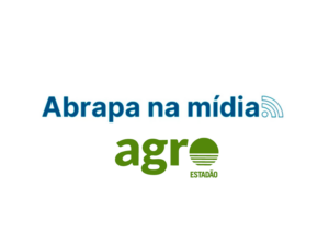 Produção brasileira de algodão com certificado de sustentabilidade passa de 3 milhões de toneladas na safra 2023/2024