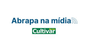 Cotton Brazil destaca liderança brasileira na exportação