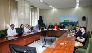 Brasil deve continuar na liderança das exportações de algodão e projeta novos avanços na cotonicultura para 2025