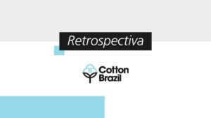 Brasil conquista em 2024 o posto de maior exportador mundial de algodão
