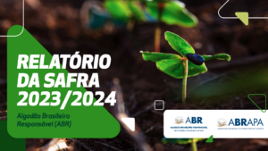 Adesão ao Programa Algodão Brasileiro Responsável (ABR) cresceu na safra 2023/2024